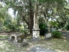 p1070135-487-17