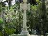 p1070223-575-45