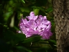 p1040636