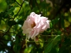 p1040984