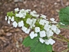 p1050034