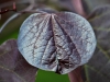 p1050065