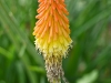 p1050112