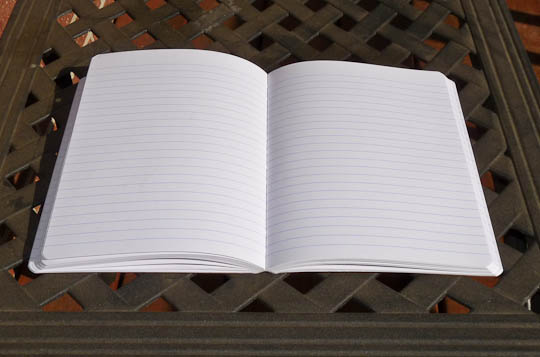 Post image for Basic Journal Review