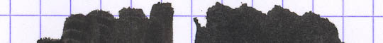 Post image for The Answer is Carbonite