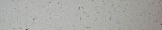 Post image for Niblets