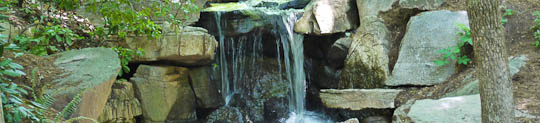 Post image for Blog Garden